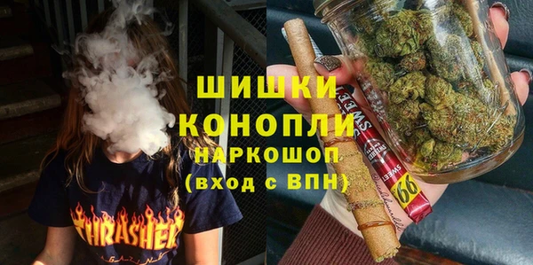 spice Бородино