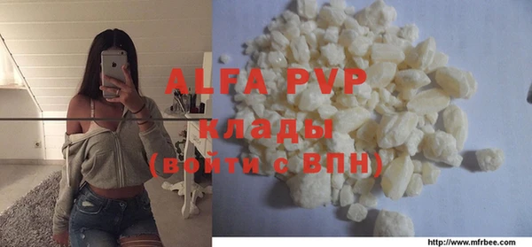 spice Бородино