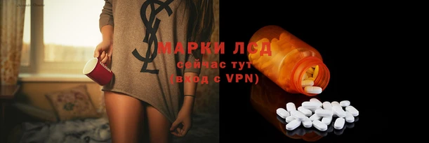 spice Бородино