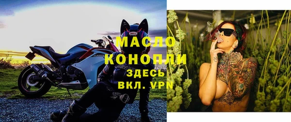 spice Бородино