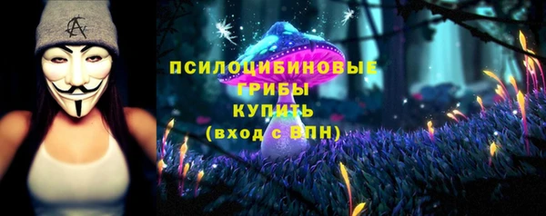 spice Бородино