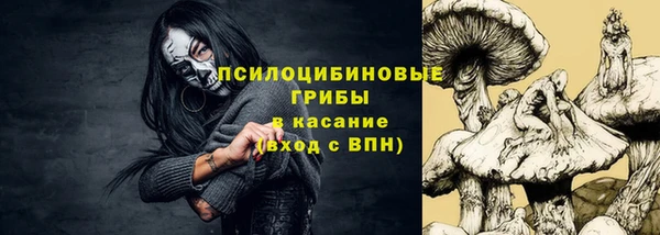 spice Бородино